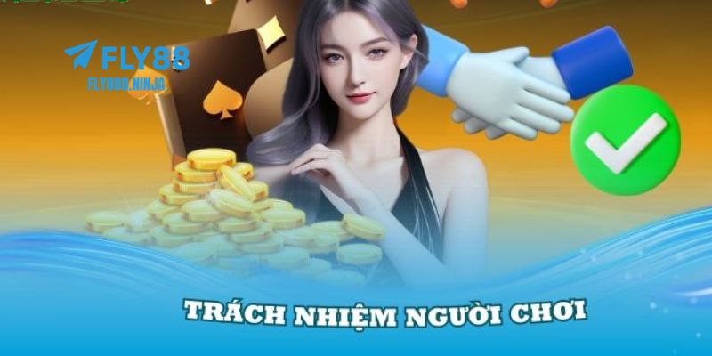 Giới thiệu về trách nhiệm người chơi tại FLY88