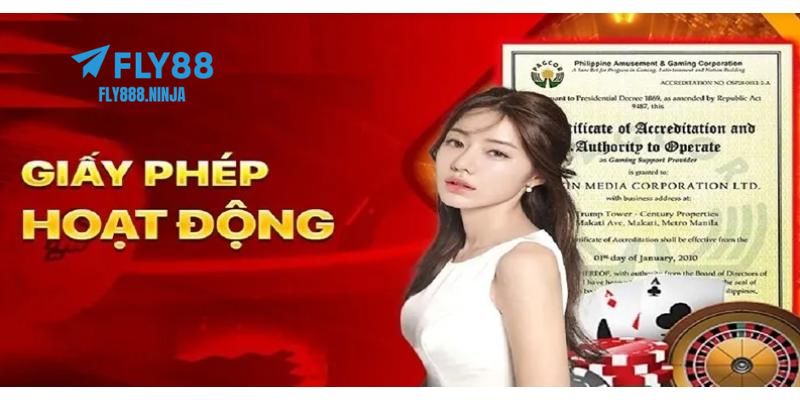 Khái quát qua về giấy phép hoạt động